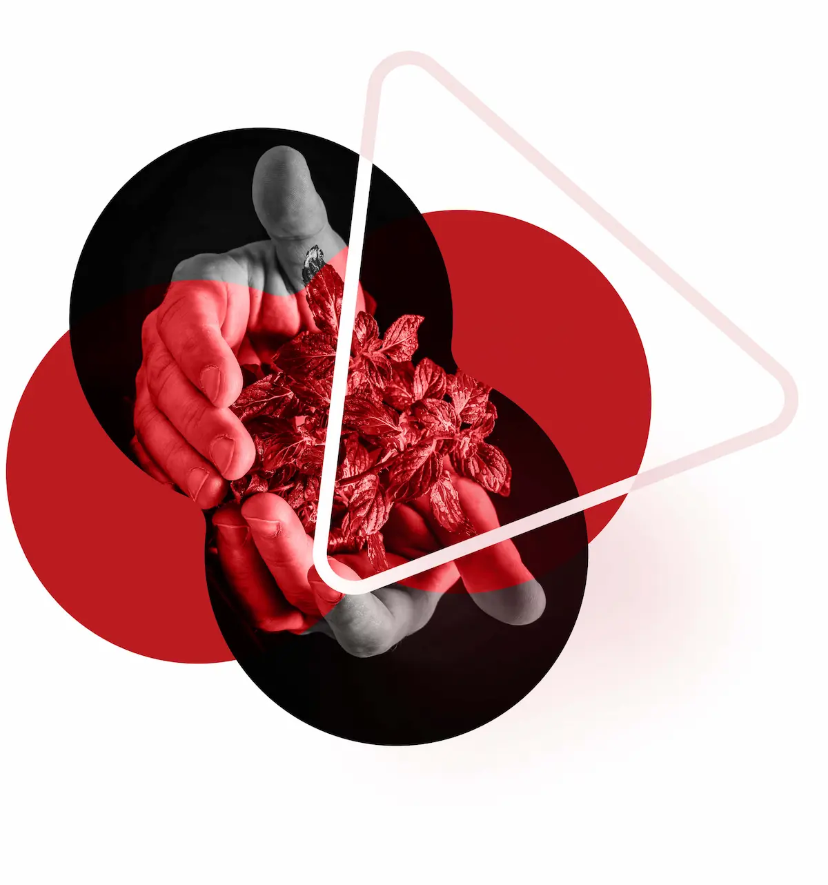 Environmental sustainability